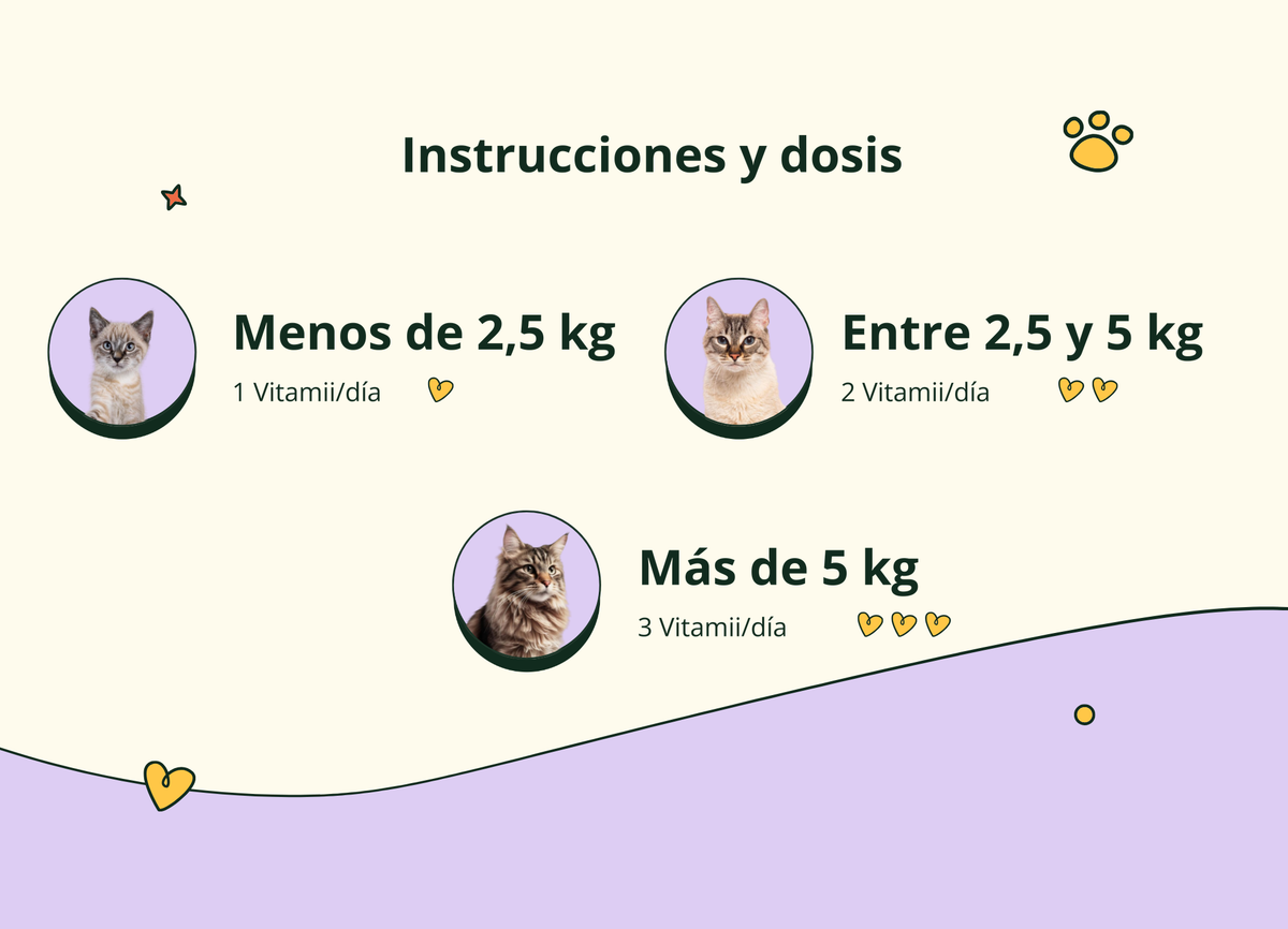 Imagen con texto en español