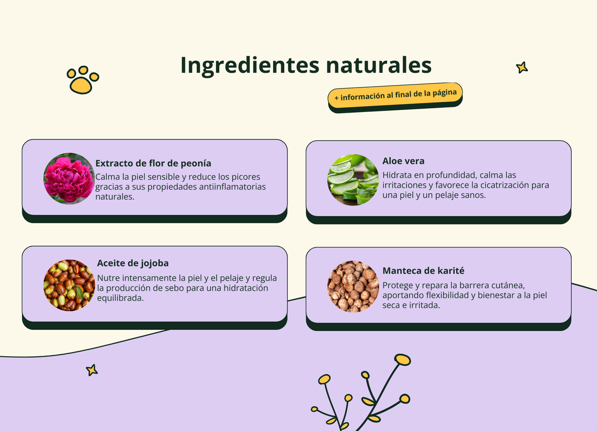 Imagen con texto en español