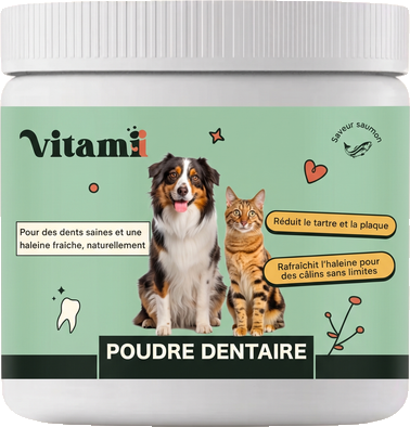 Polvo dental