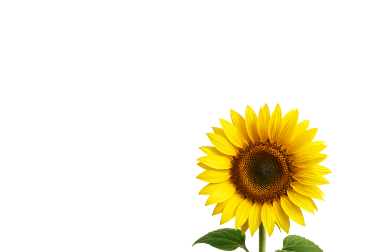 Vitamina E