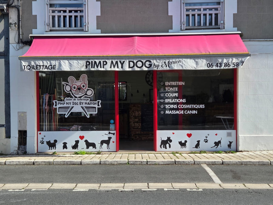 Pimp My Dog de Marion