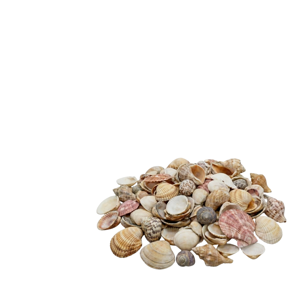 Glucosamina