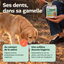 Une cuillère de Poudre Dentaire Vitamii saupoudrée sur la gamelle du chien