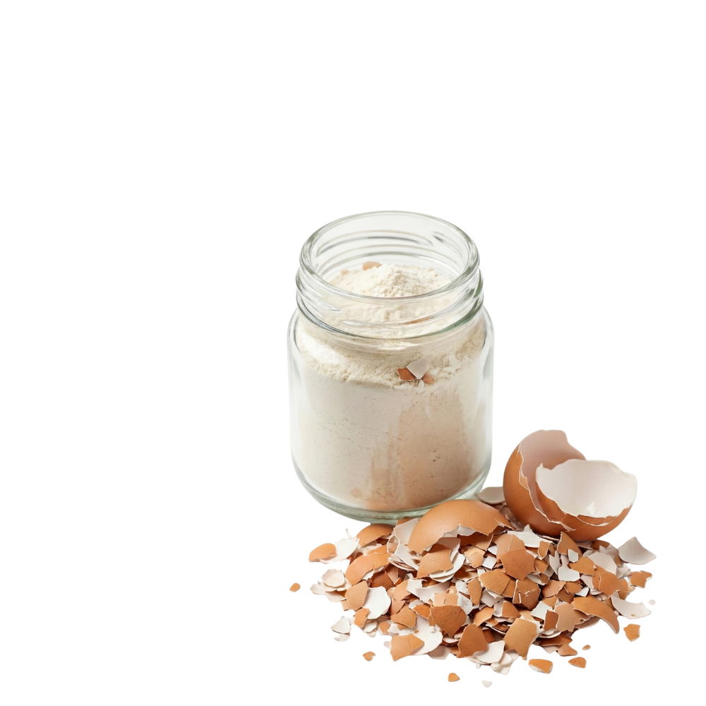 Membrana de cáscara de huevo