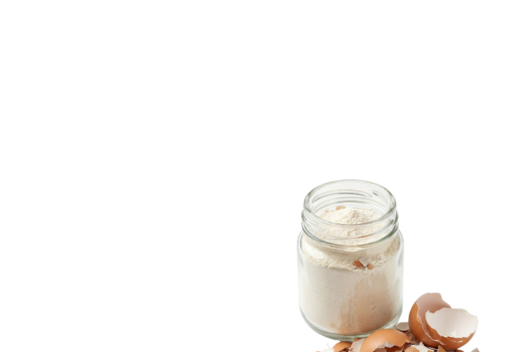 Membrana de cáscara de huevo