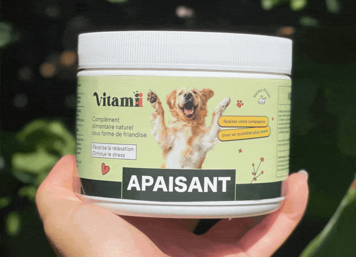 Avant/apres - apaisement (apaisant chien)