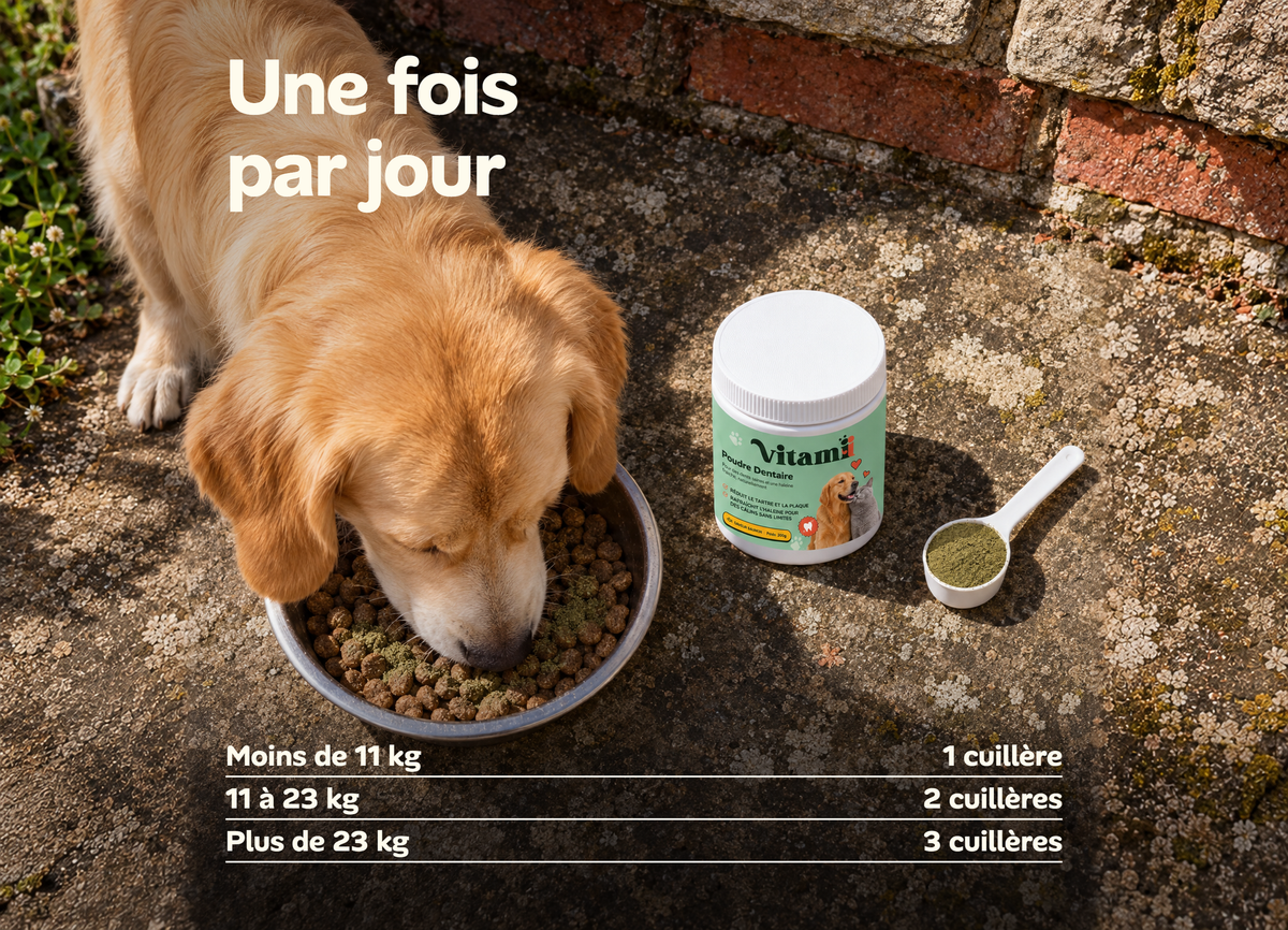 Dose de Poudre Dentaire Vitamii une fois par jour : 1, 2 ou 3 cuillères selon le poids