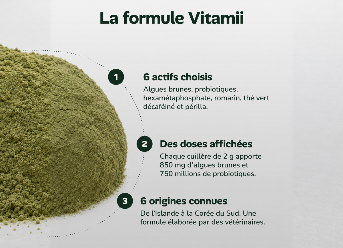 La formule Vitamii : 6 actifs aux doses affichées et 6 origines connues