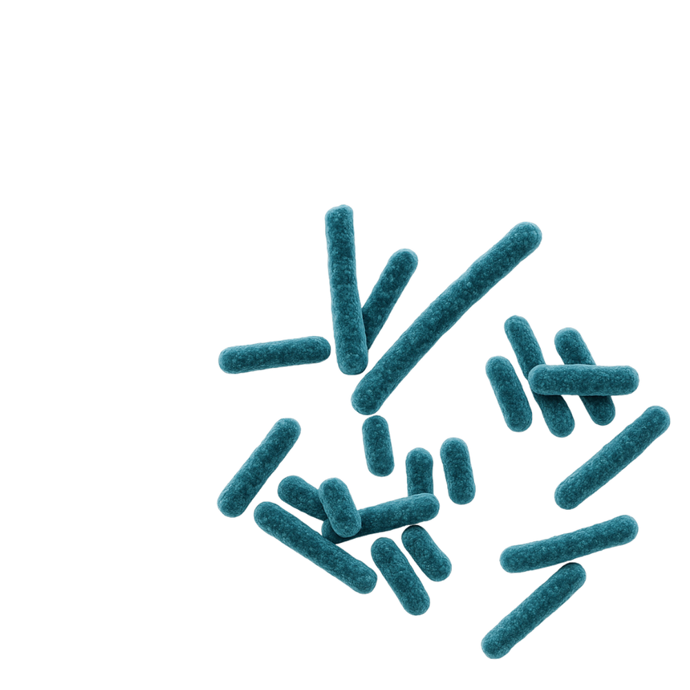 Ingrédient immunite-chat