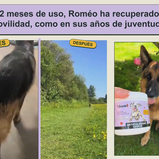 Antes y después de Romeo: movilidad recuperada (articulaciones)