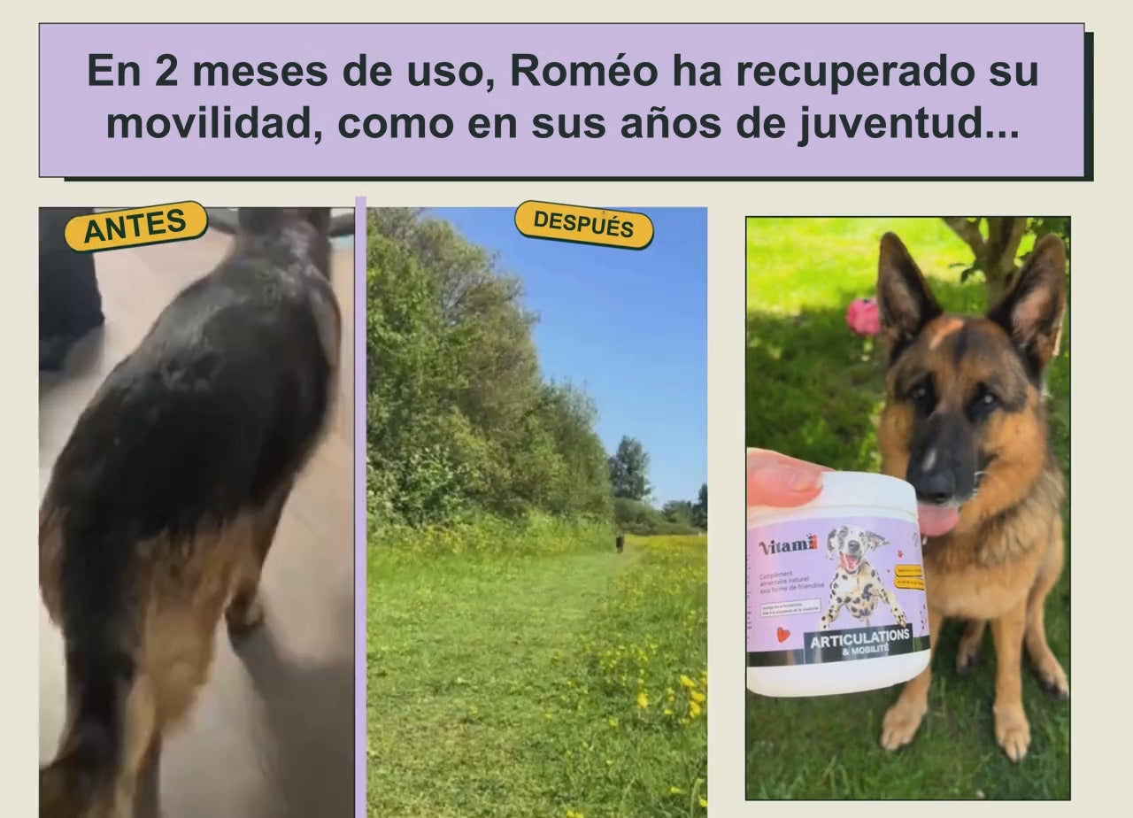 Antes y después de Romeo: movilidad recuperada (articulaciones)