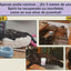 Antes y después: movilidad recuperada (articulaciones del gato)