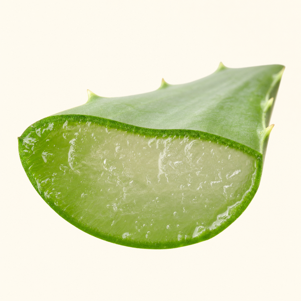Aloe vera