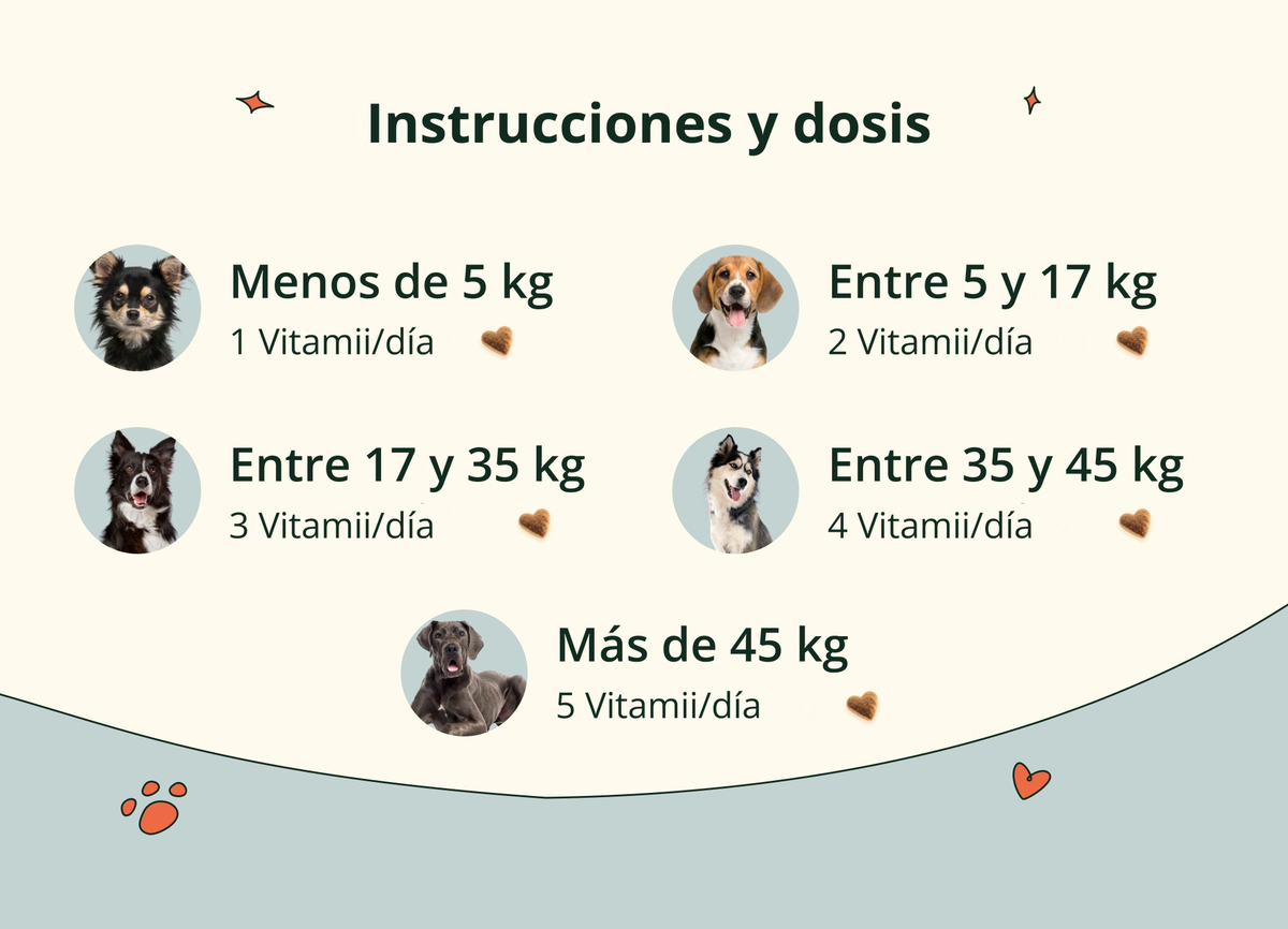Instrucciones y dosis de Immunité Vitamii para perros: cinco intervalos de peso y de 1 a 5 golosinas al día