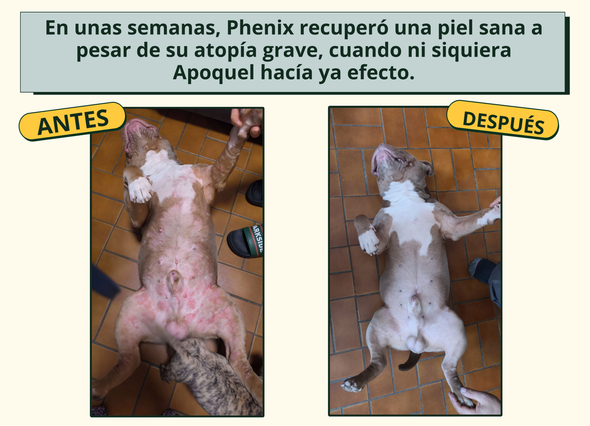 Imagen con texto en español