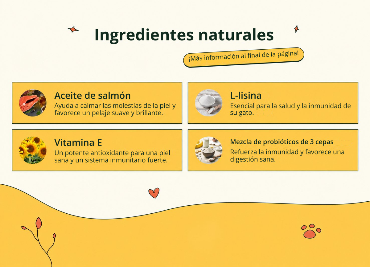 Imagen con texto en español