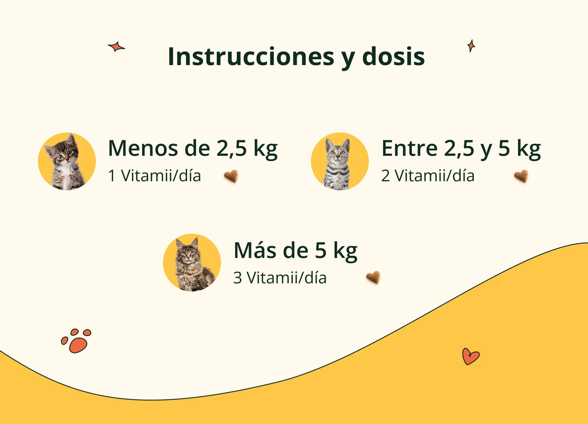 Imagen con texto en español