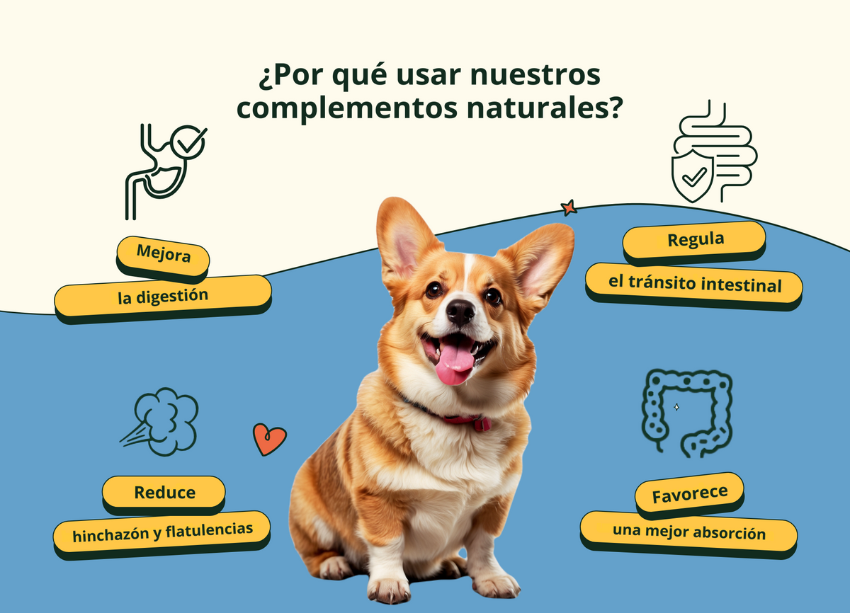 Imagen con texto en español