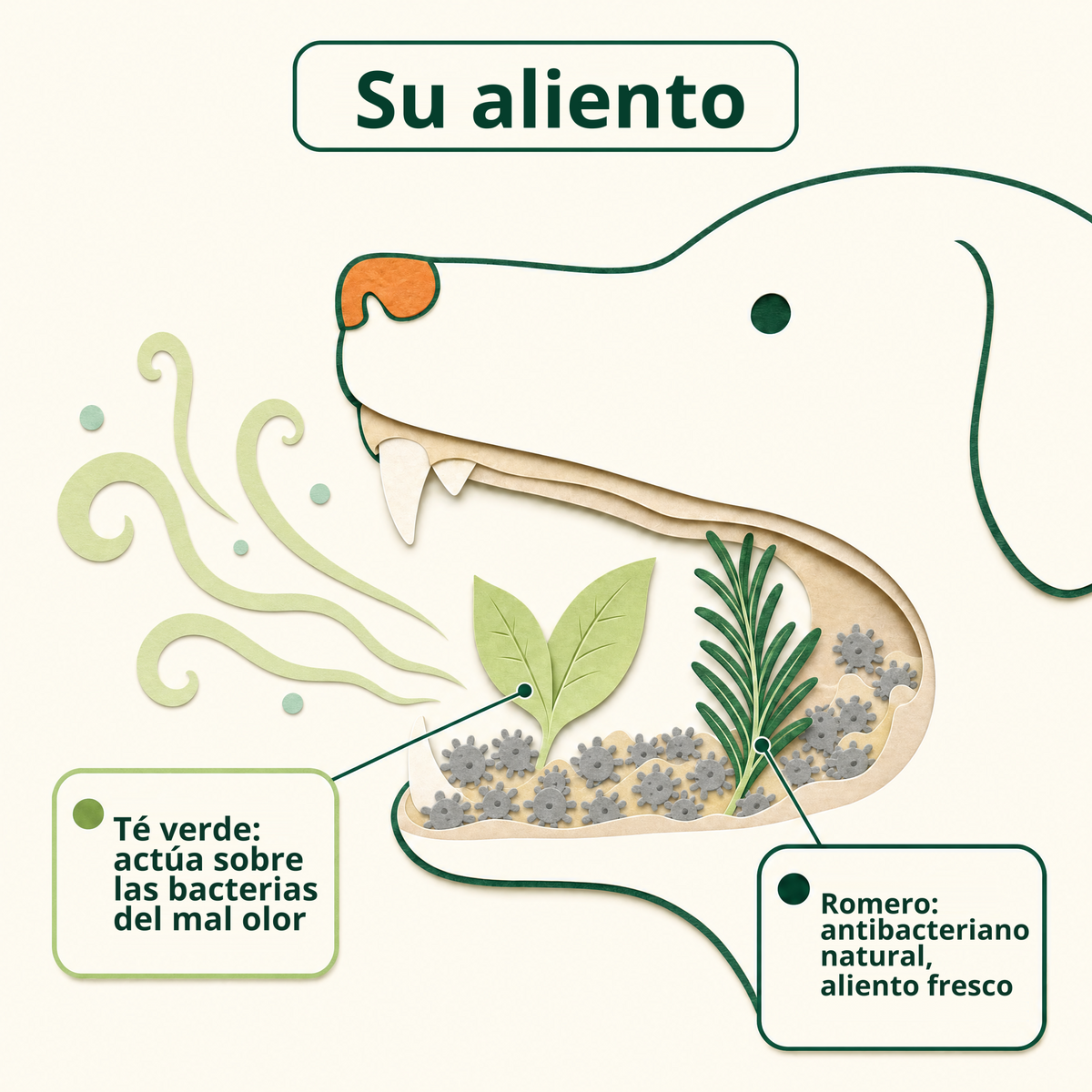 Su aliento