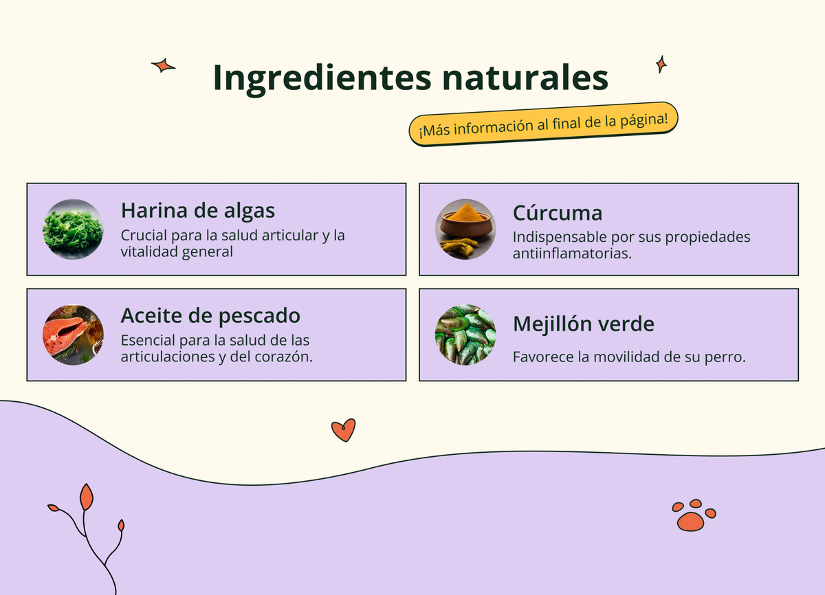 Imagen con texto en español