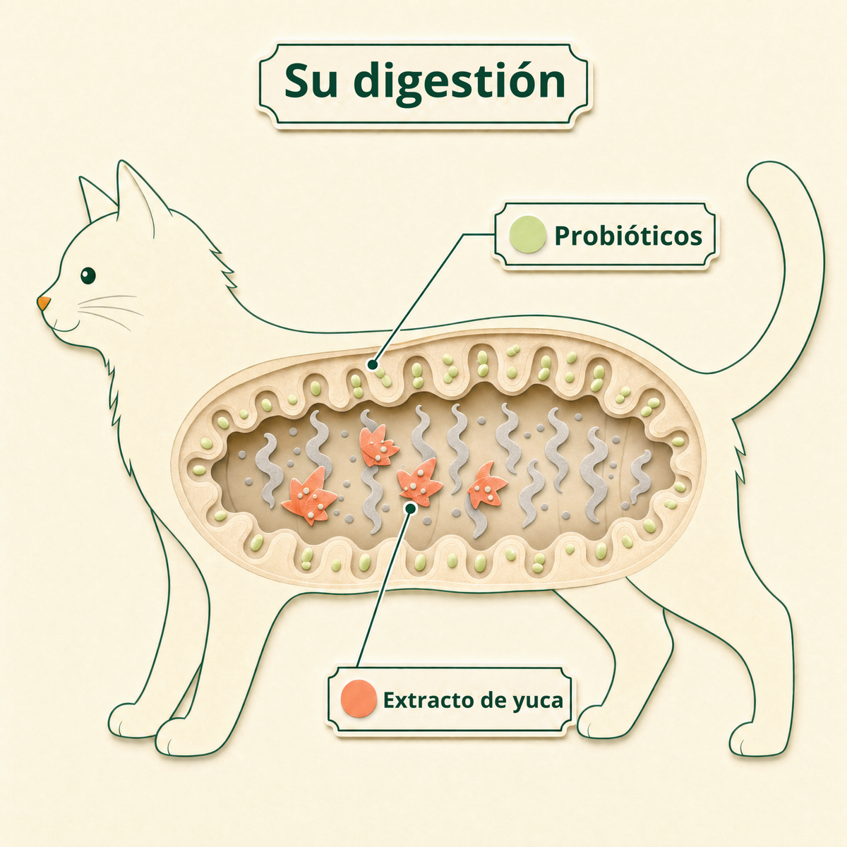 Su digestión