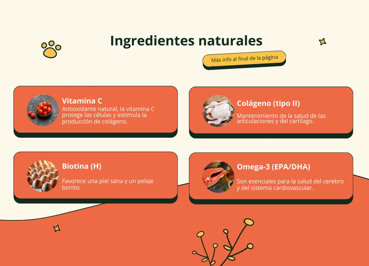 Imagen con texto en español