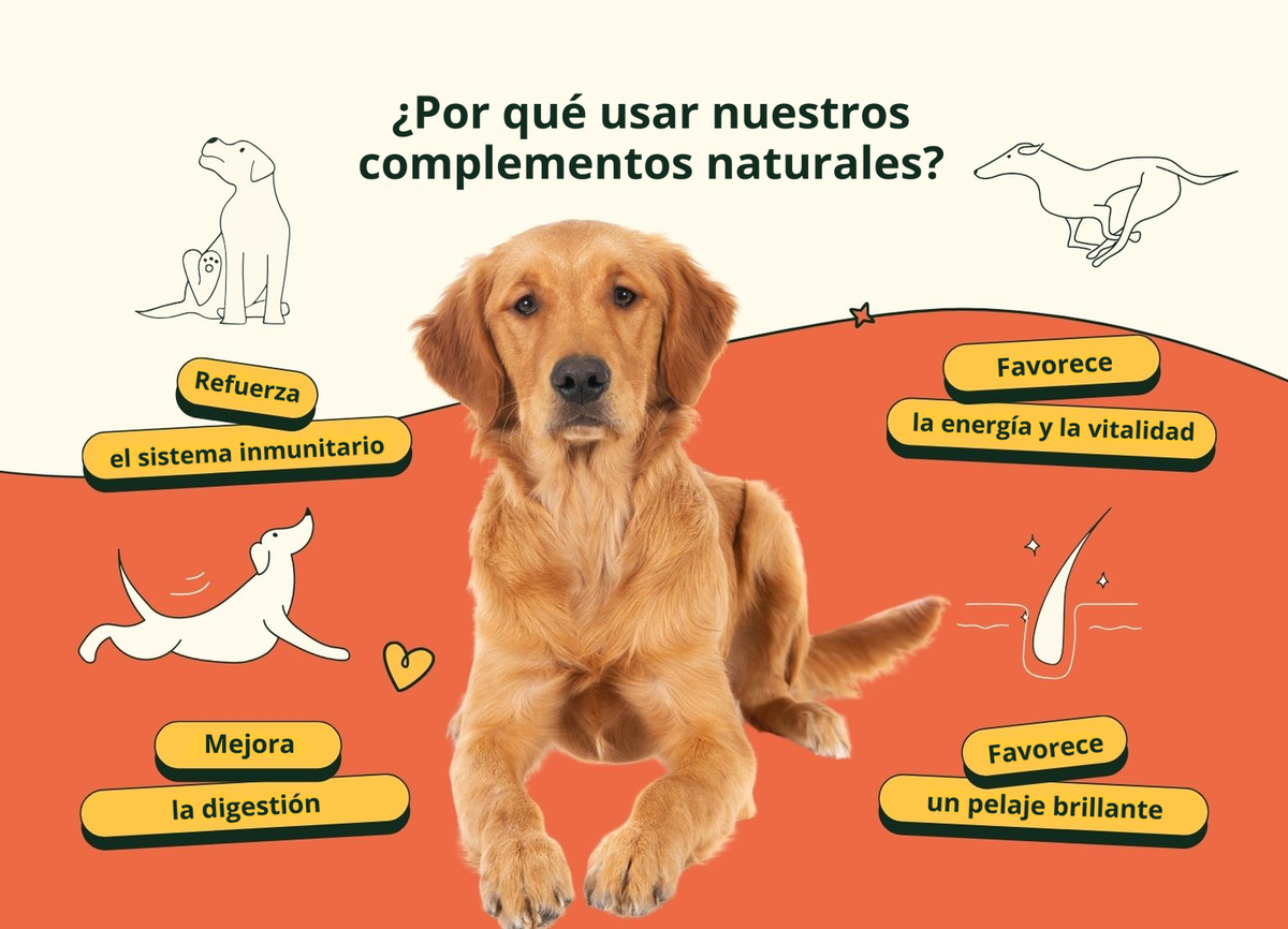 Imagen con texto en español