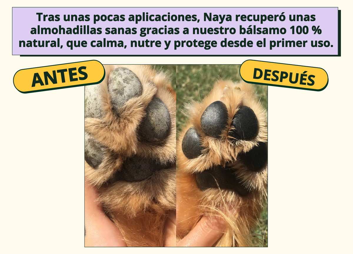 Imagen con texto en español