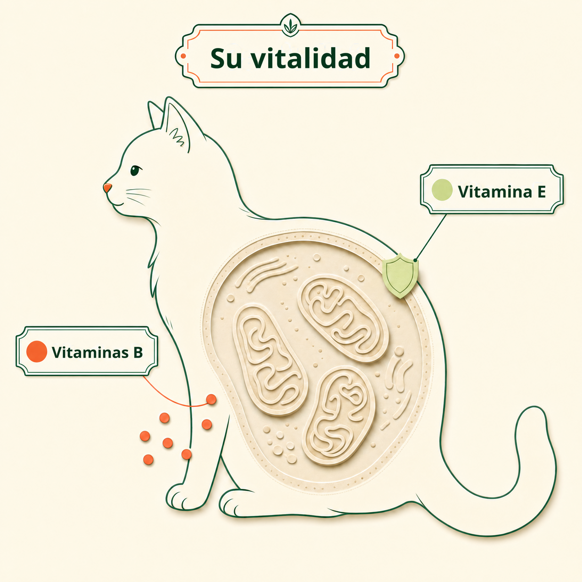 Su vitalidad