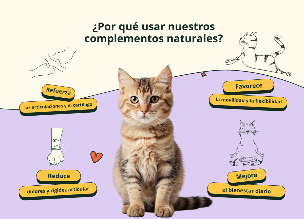 Imagen con texto en español