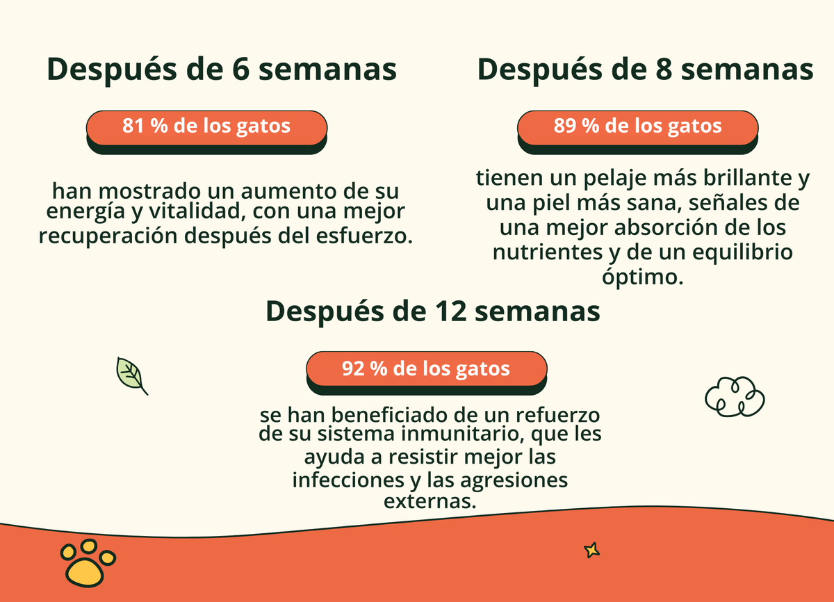 Imagen con texto en español