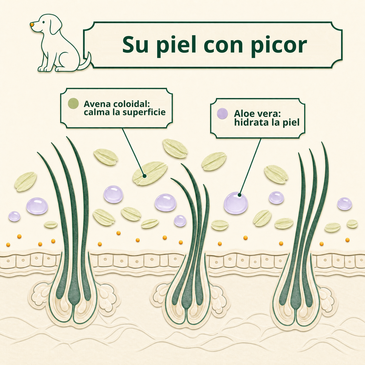 Su piel con picor