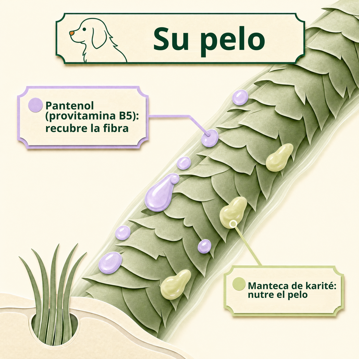 Su pelo