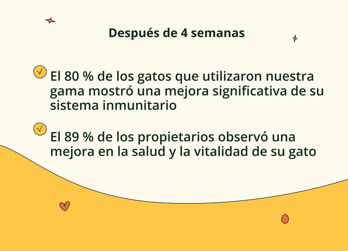 Imagen con texto en español