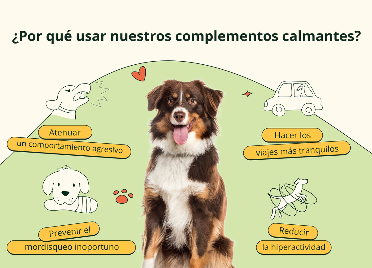 Imagen con texto en español