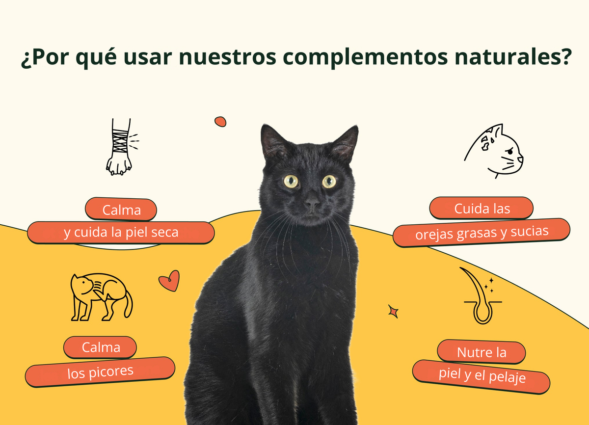 Imagen con texto en español