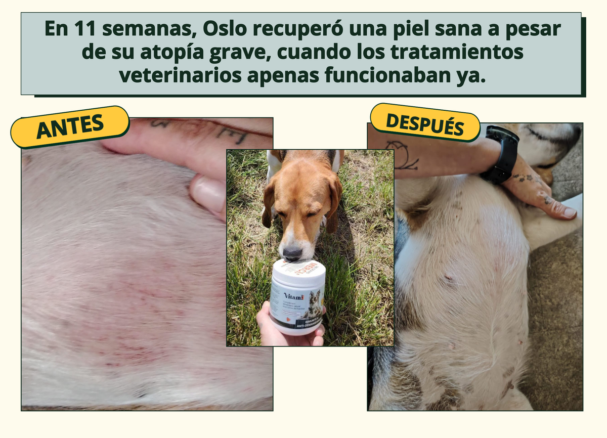Imagen con texto en español