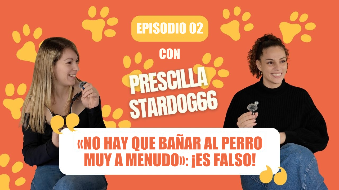Imagen con texto en español