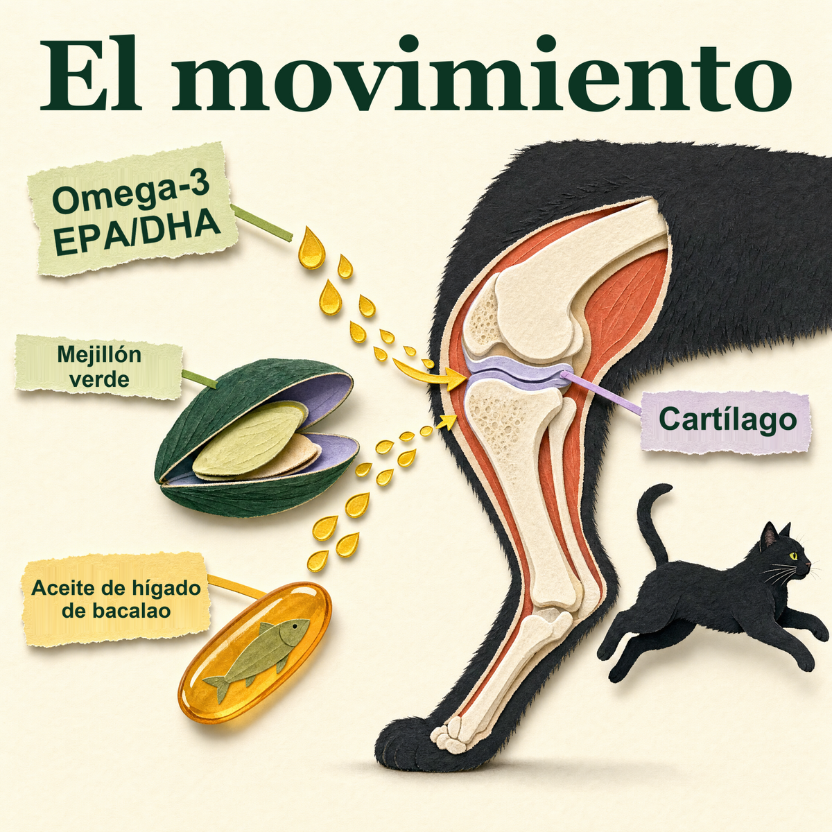 Su movimiento