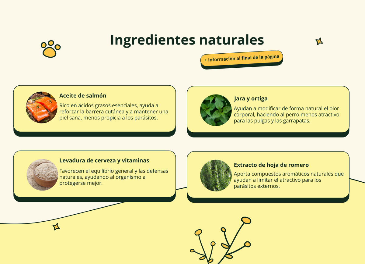 Imagen con texto en español
