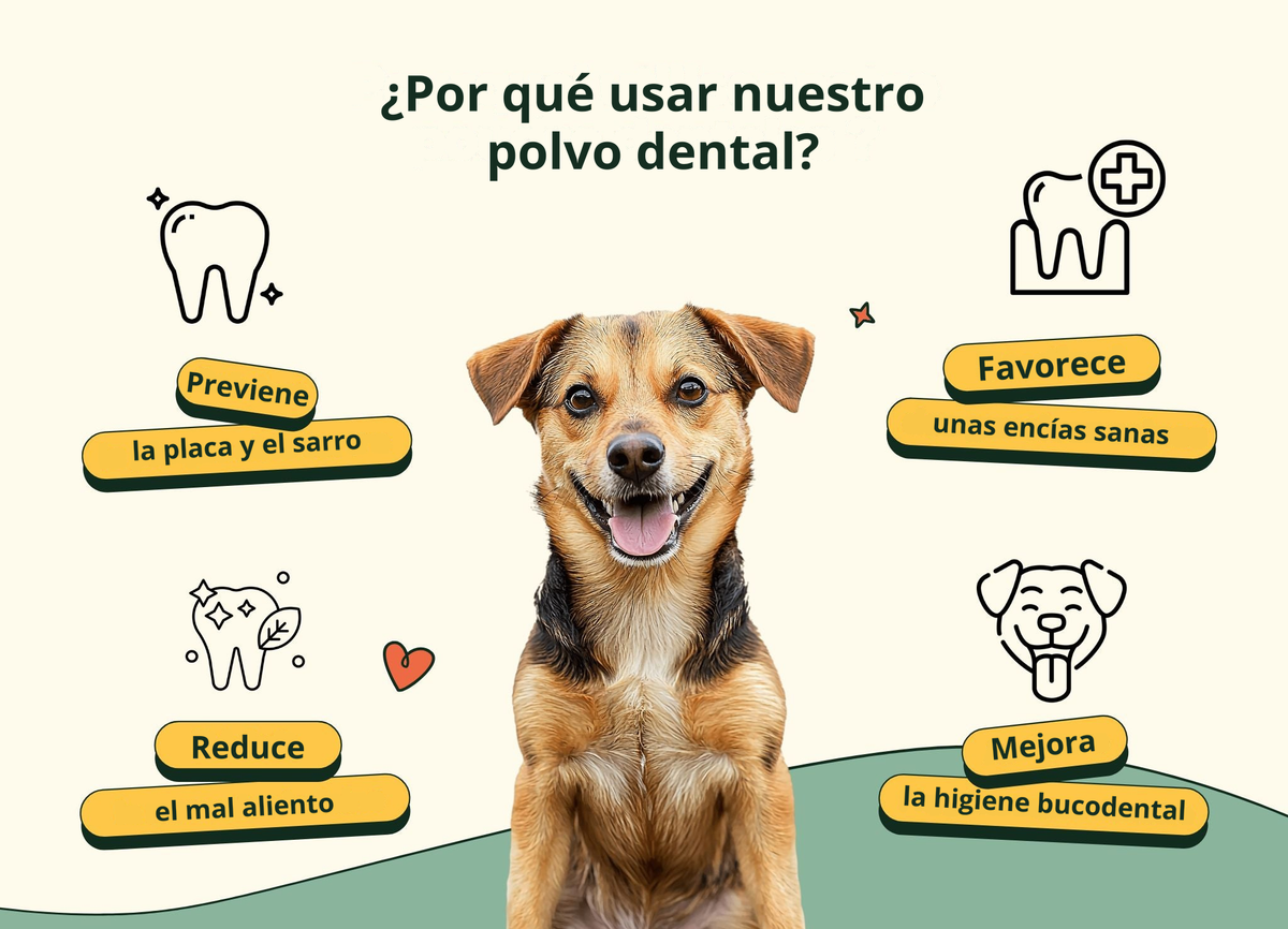 Imagen con texto en español