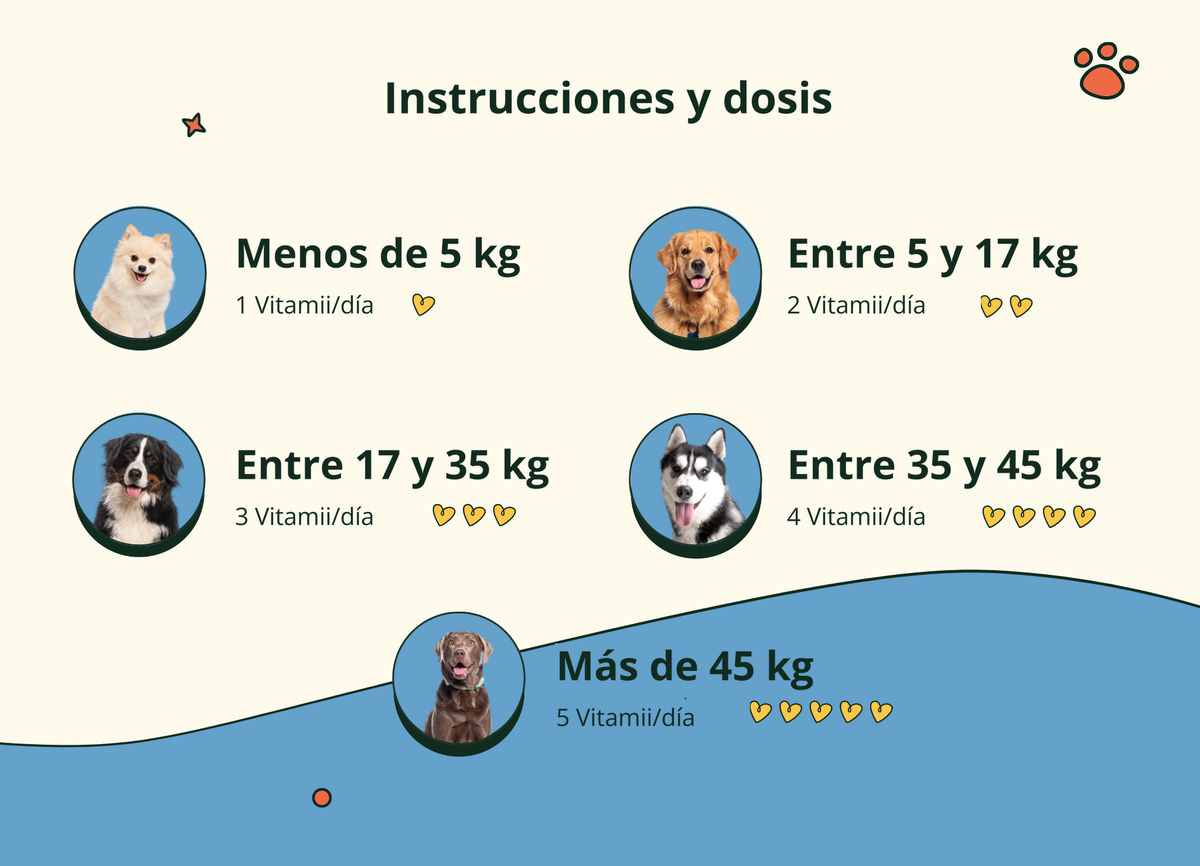 Imagen con texto en español