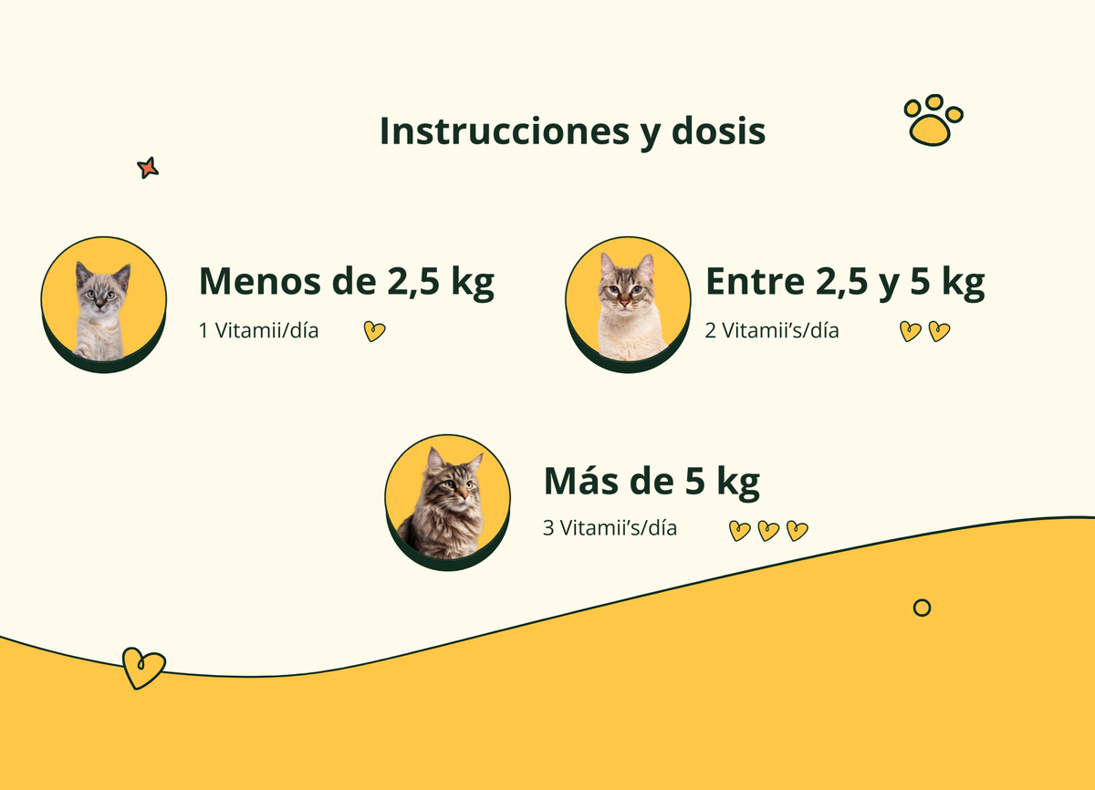 Imagen con texto en español