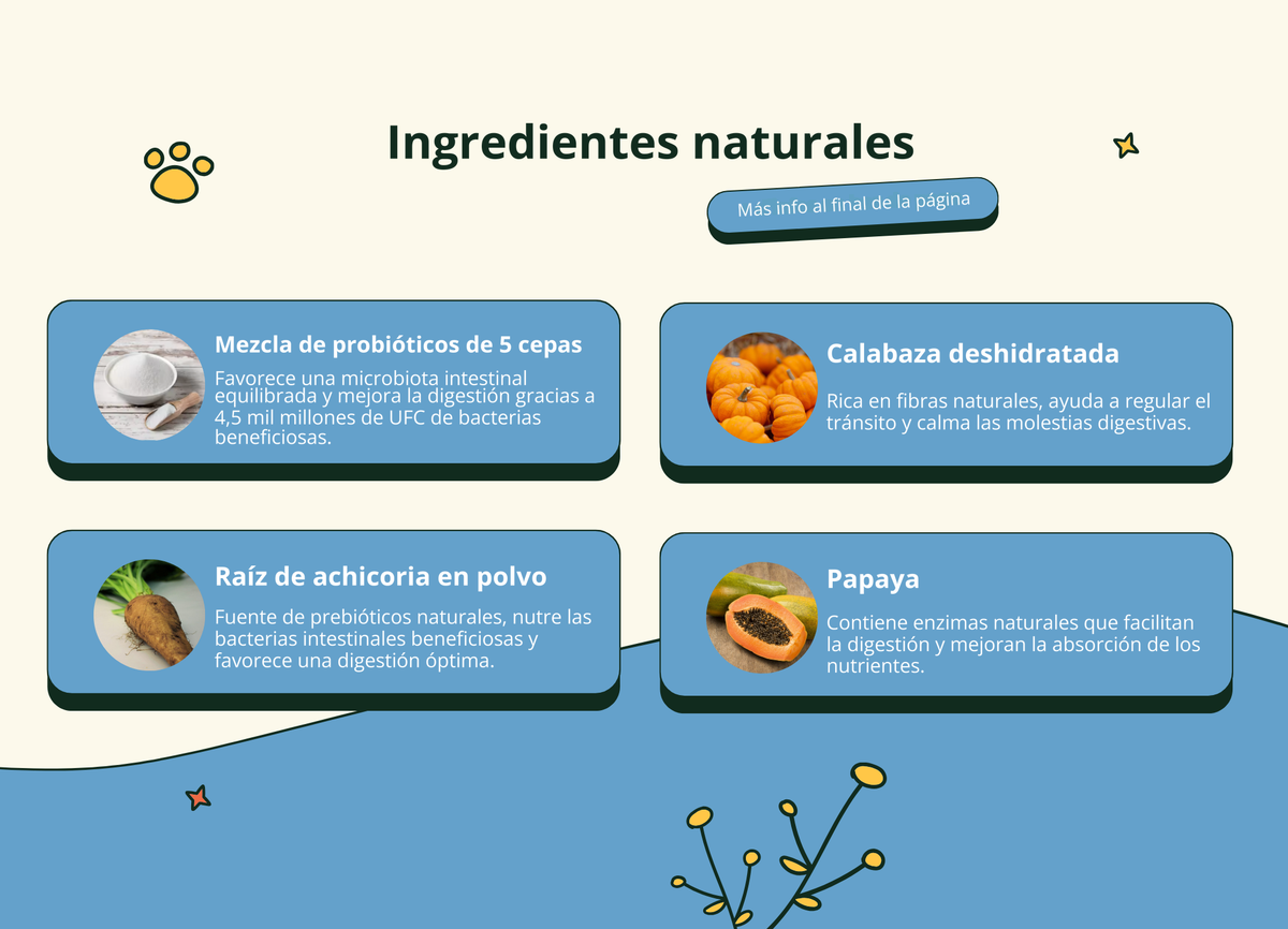 Imagen con texto en español