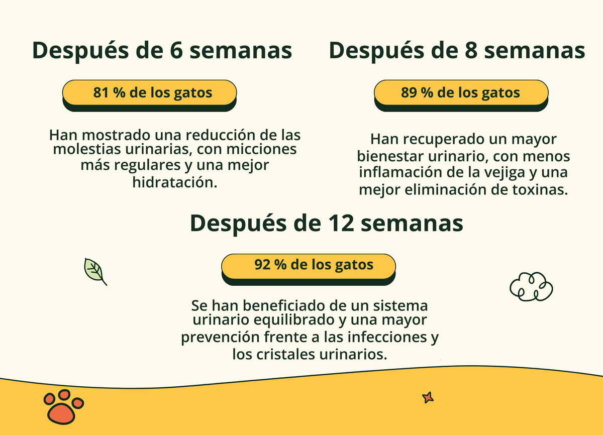 Imagen con texto en español