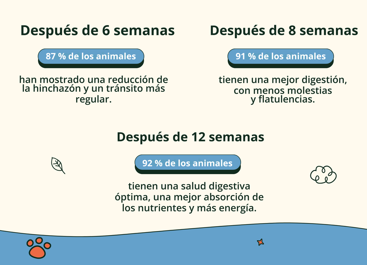 Imagen con texto en español