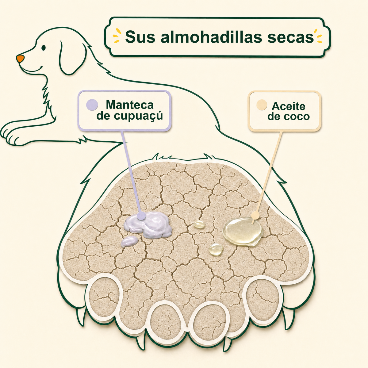 Sus almohadillas secas