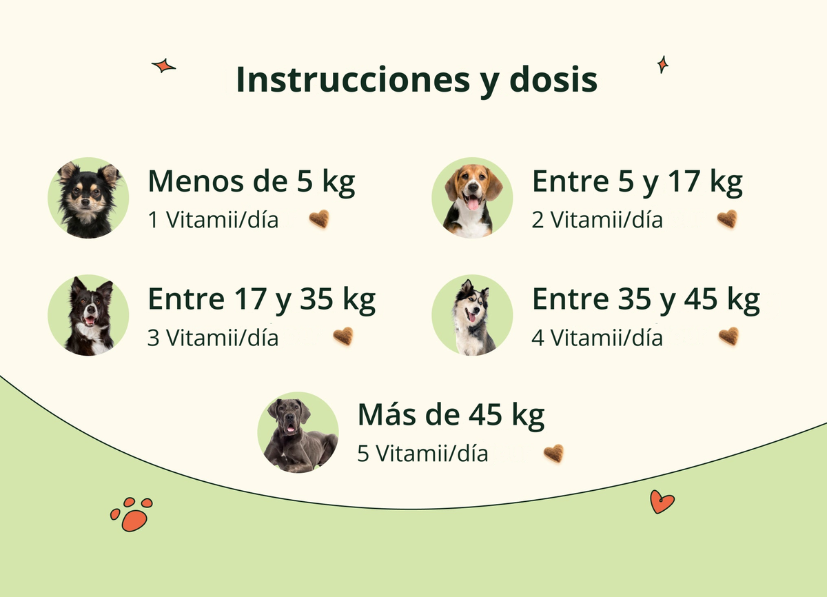 Imagen con texto en español