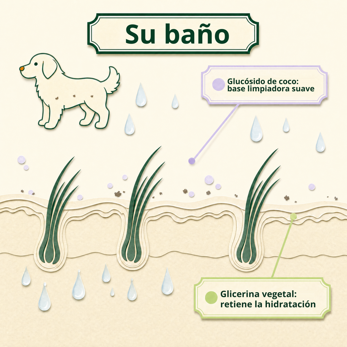 Su baño