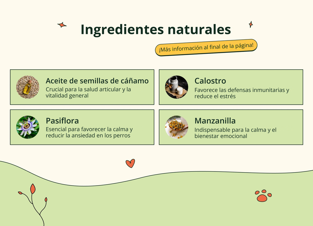 Imagen con texto en español